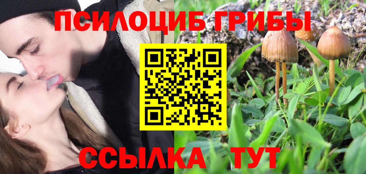Галлюциногенные грибы прущие грибы Петропавловск-Камчатский