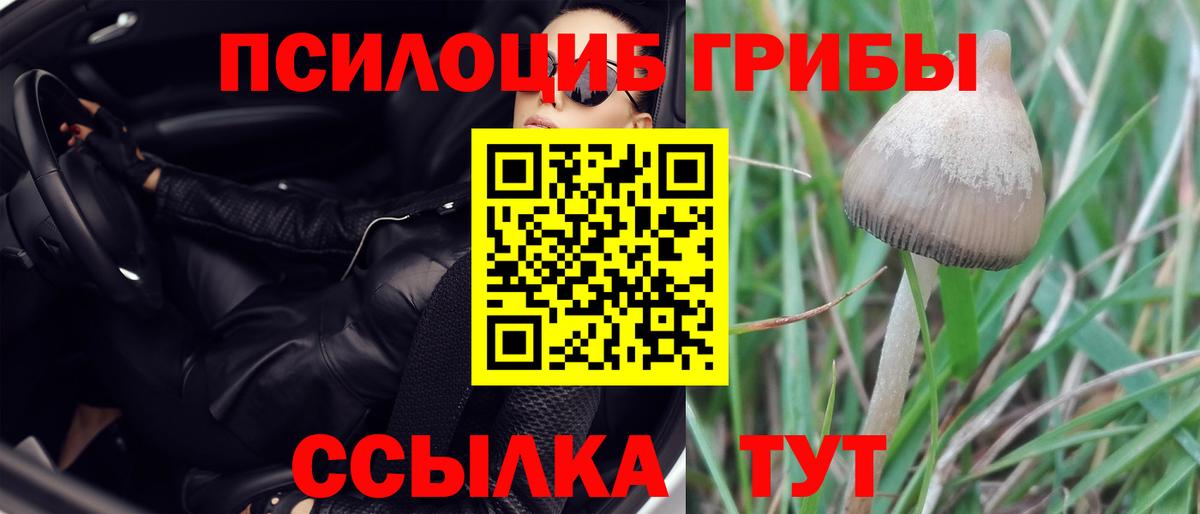 Галлюциногенные грибы ЛСД  Вход с VPN  Петропавловск-Камчатский 